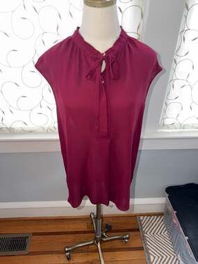 VINCE Burgundy Silk Chiffon Cap Sleeve Sheer Blouse Size L